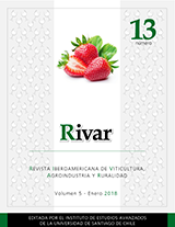 PORTADA13