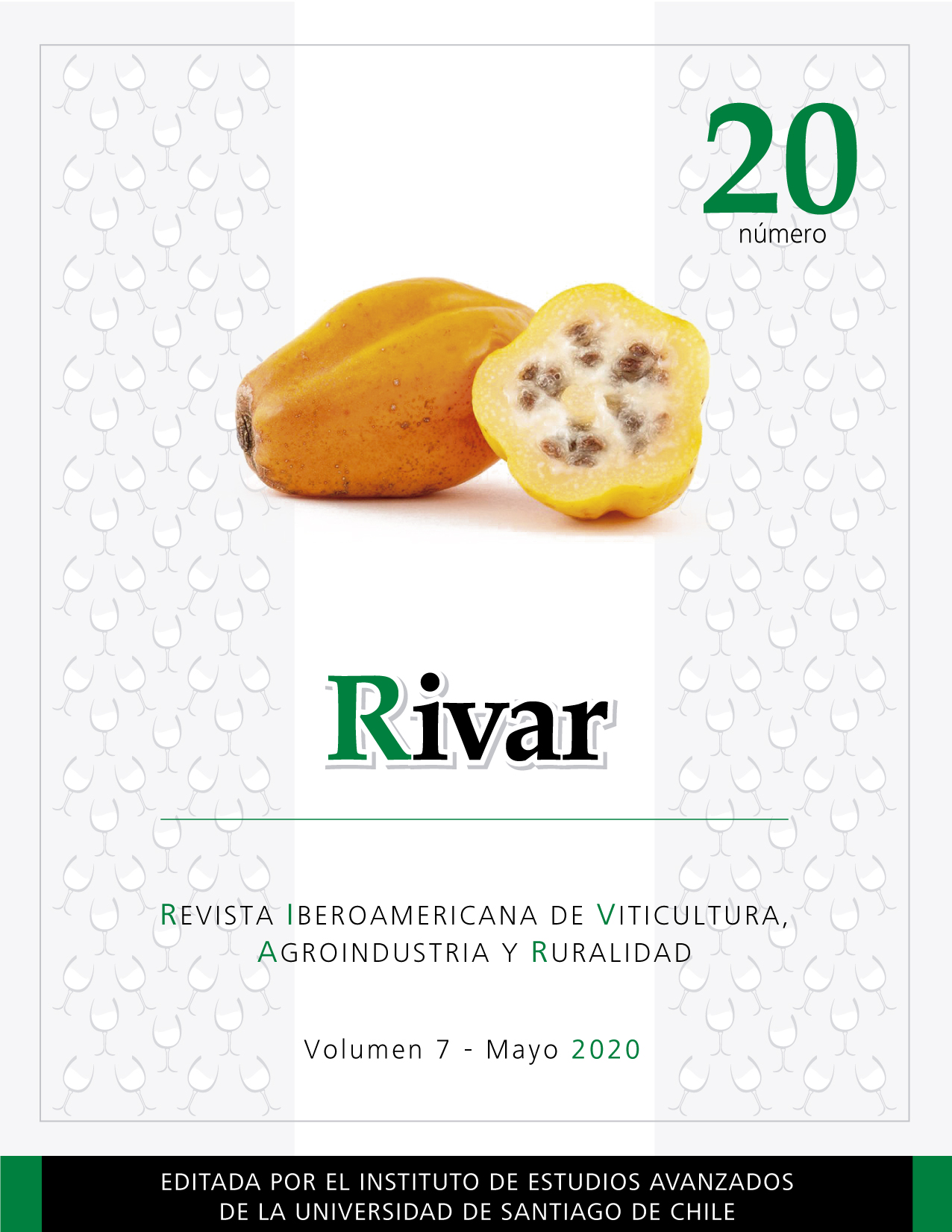 PORTADA20